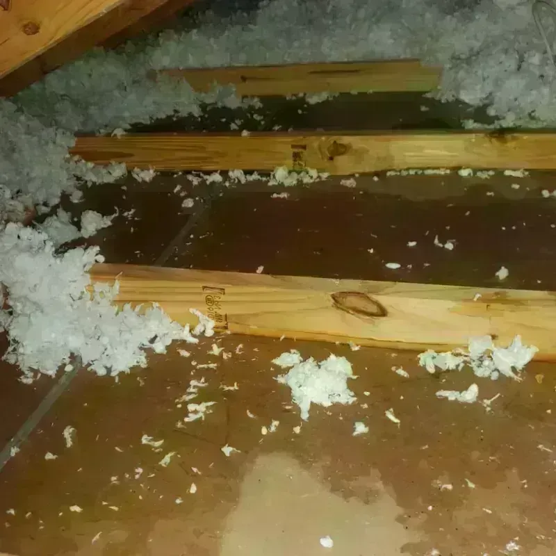 Attic Water Damage in Brooktrails, CA