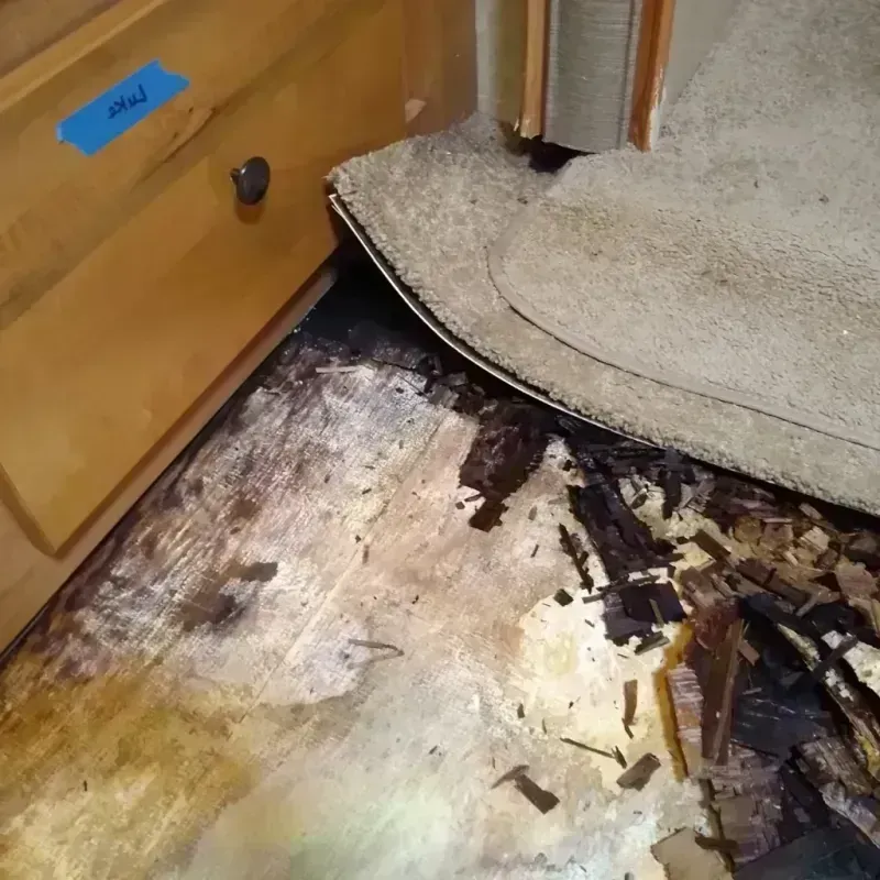 Wood Floor Water Damage in Brooktrails, CA